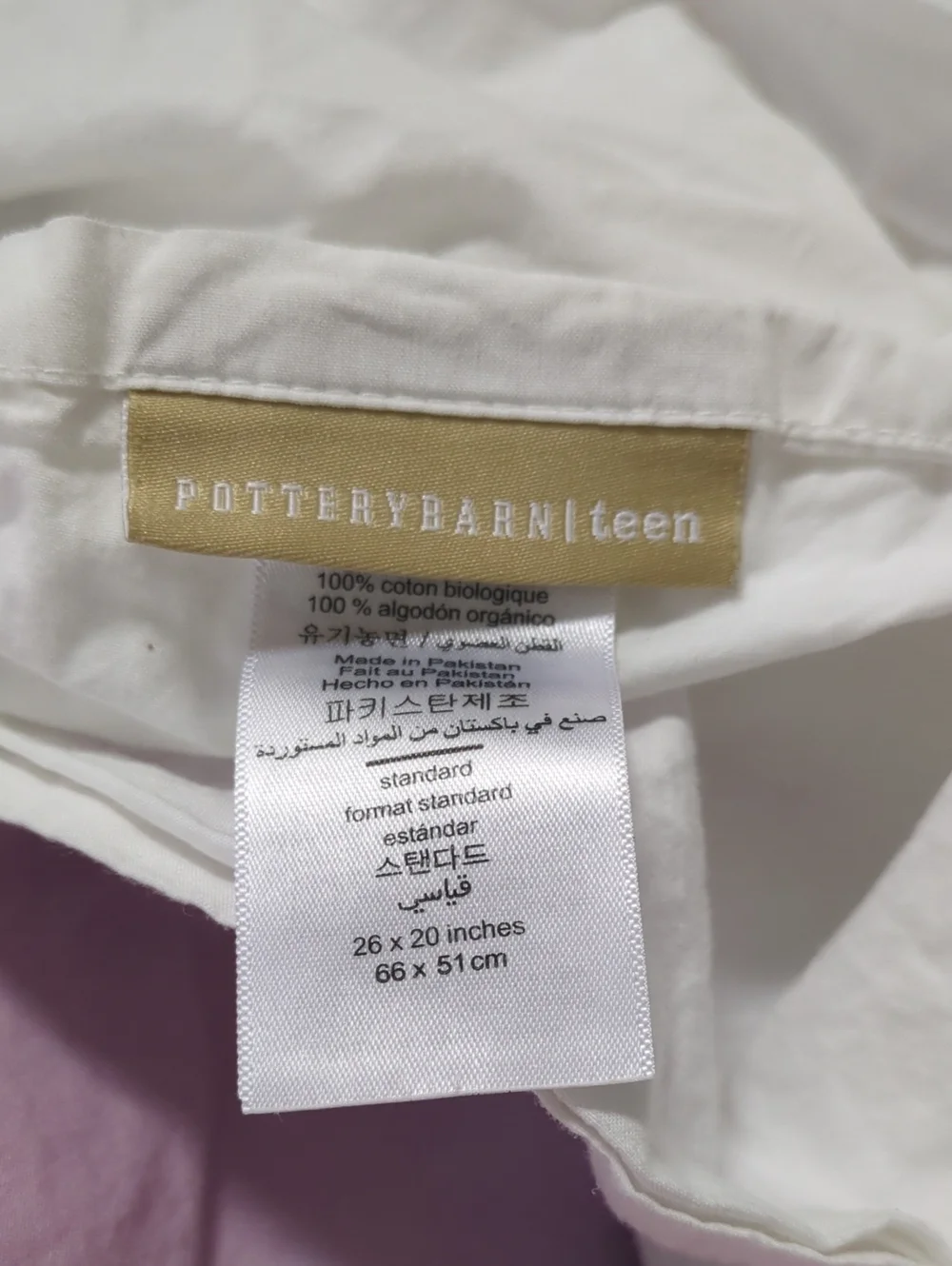 Pottery Barn Teen PBteen Full Queen Duvet Sham Pastel Watercolor Organic Cotton